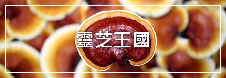 靈芝王國